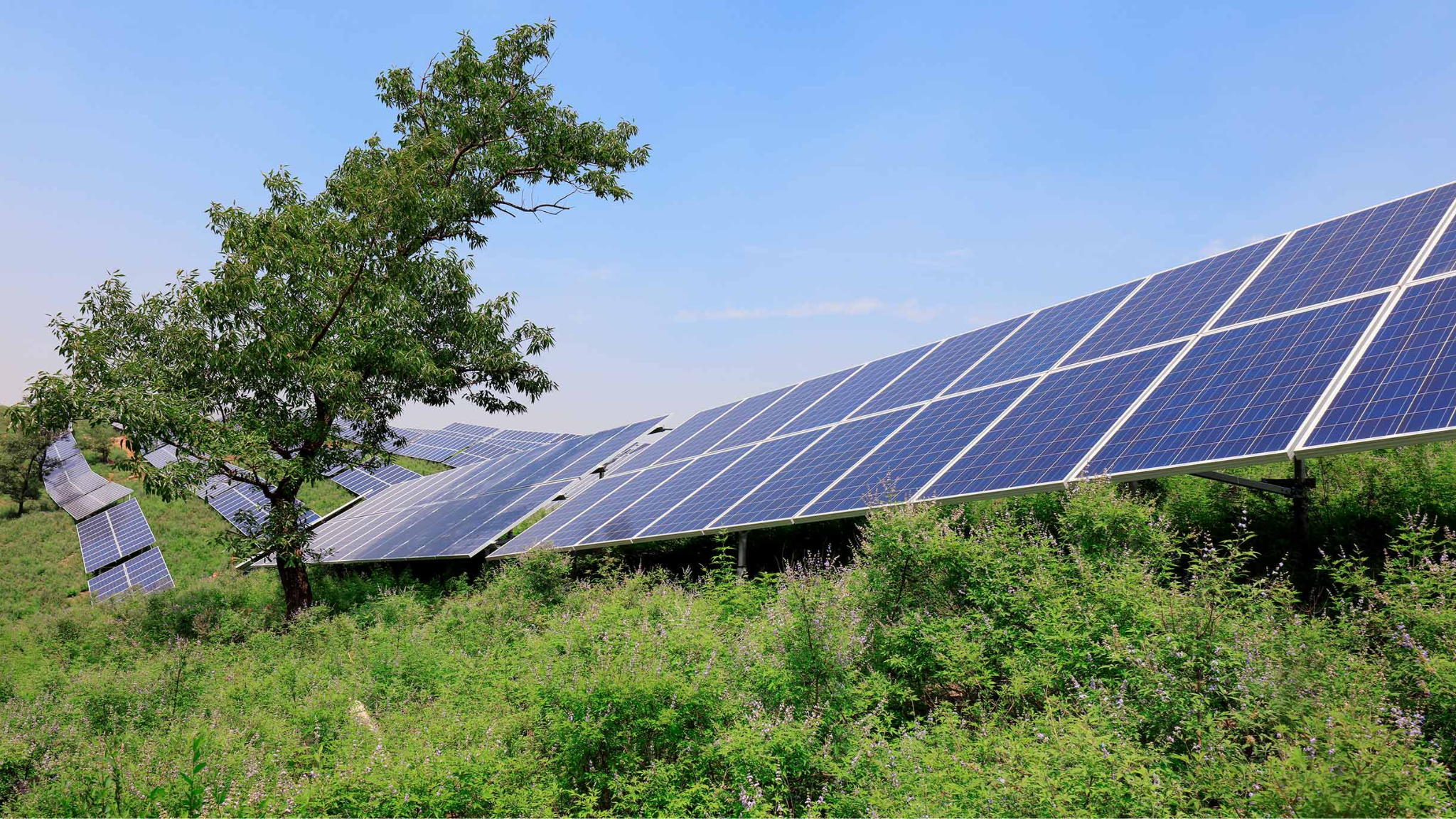 panneaux solaires, panneaux photovoltaiques